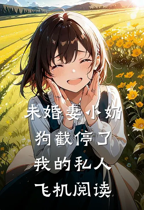 未婚妻小奶狗截停了我的私人飞机阅读