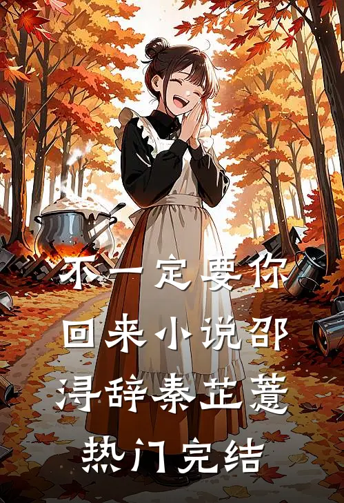 不一定要你回来小说邵浔辞秦芷薏热门完结