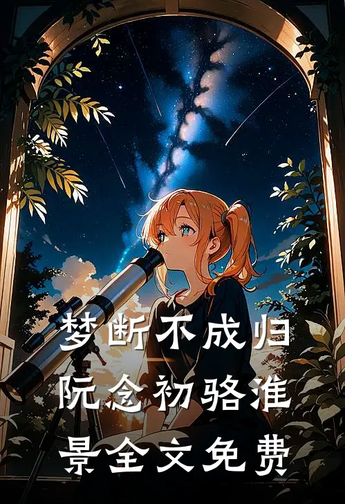 梦断不成归阮念初骆淮景全文免费
