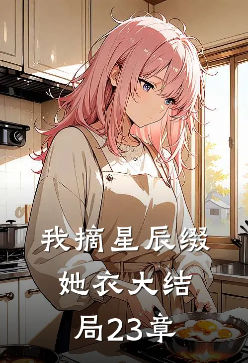 我摘星辰缀她衣大结局23章