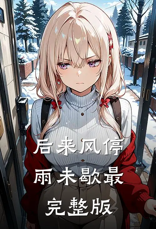 后来风停雨未歇最完整版