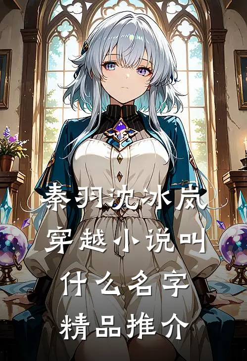 秦羽沈冰岚穿越小说叫什么名字精品推介