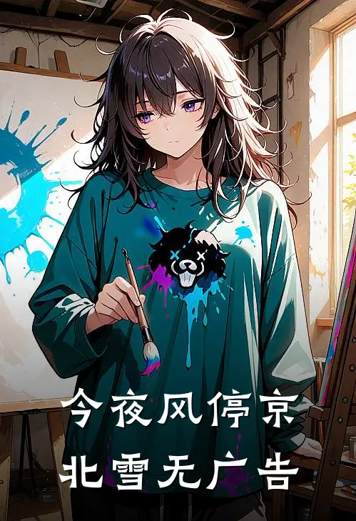 今夜风停京北雪无广告