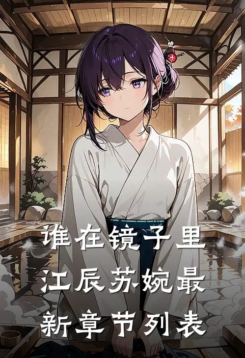 谁在镜子里江辰苏婉最新章节列表