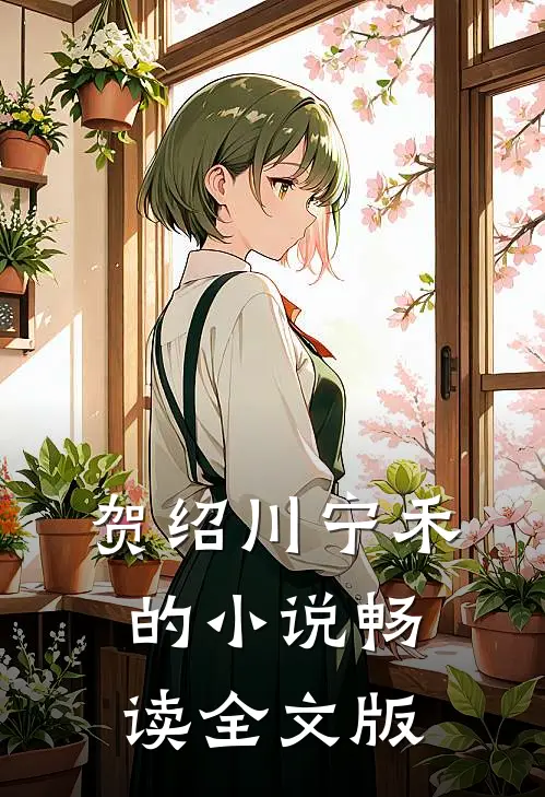 贺绍川宁禾的小说畅读全文版