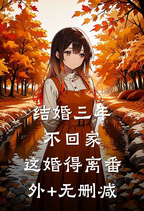 结婚三年不回家，这婚得离番外+无删减