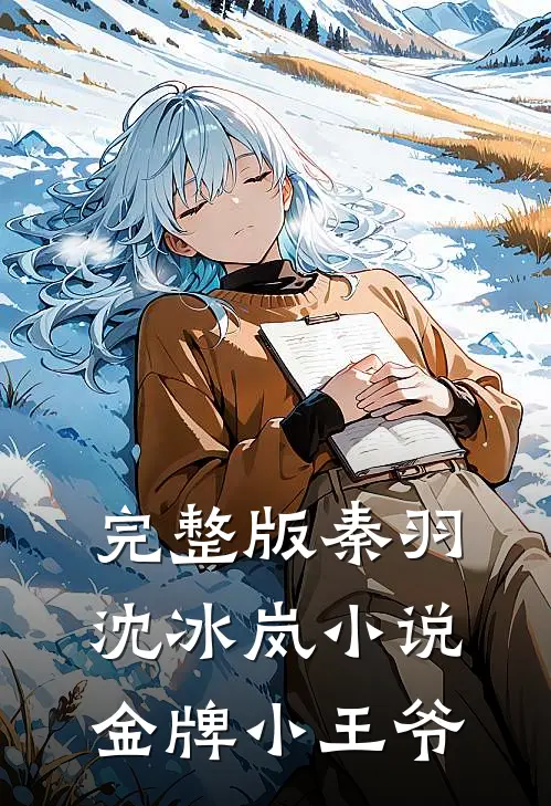 完整版秦羽沈冰岚小说金牌小王爷