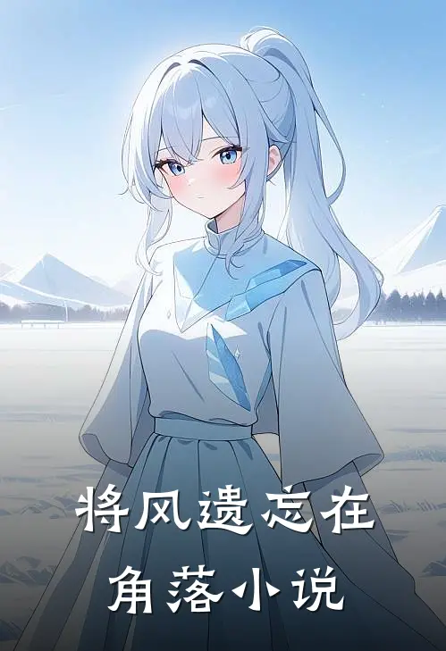 将风遗忘在角落小说