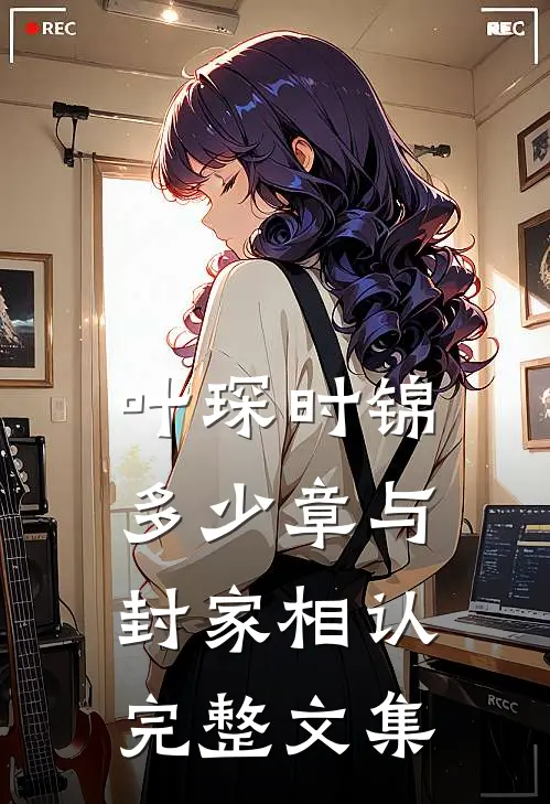 叶琛时锦多少章与封家相认完整文集