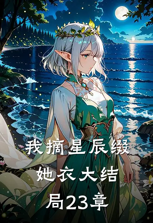 我摘星辰缀她衣大结局23章