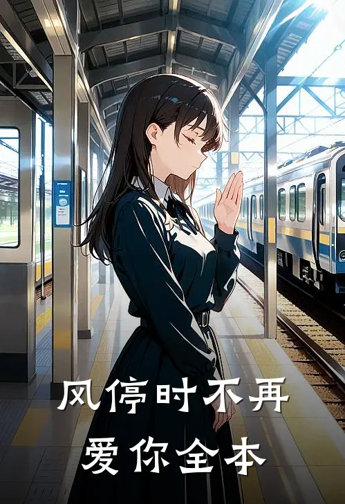 风停时不再爱你全本