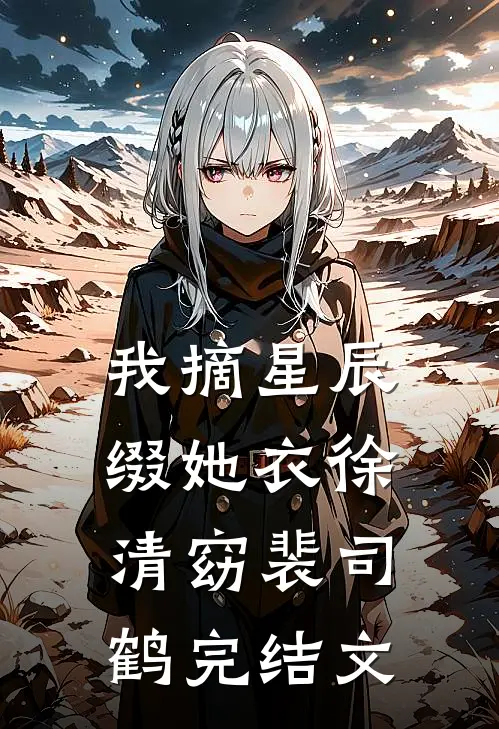 我摘星辰缀她衣徐清窈裴司鹤完结文