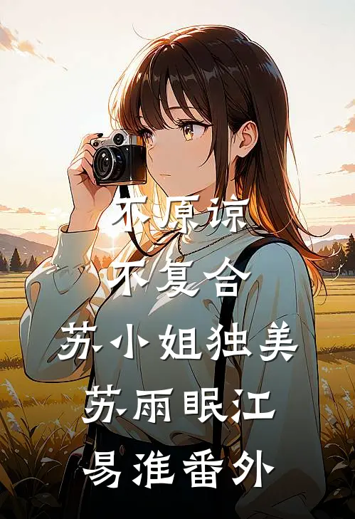 不原谅，不复合，苏小姐独美苏雨眠江易淮番外