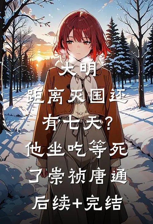 大明：距离灭国还有七天？他坐吃等死了崇祯唐通后续+完结