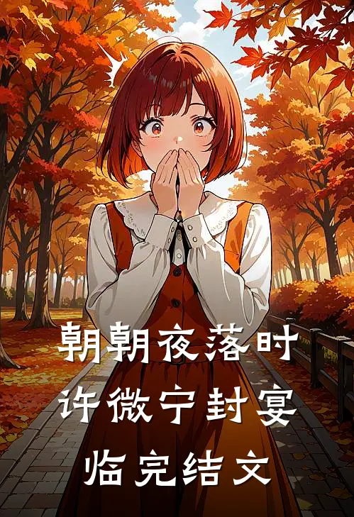 朝朝夜落时许微宁封宴临完结文
