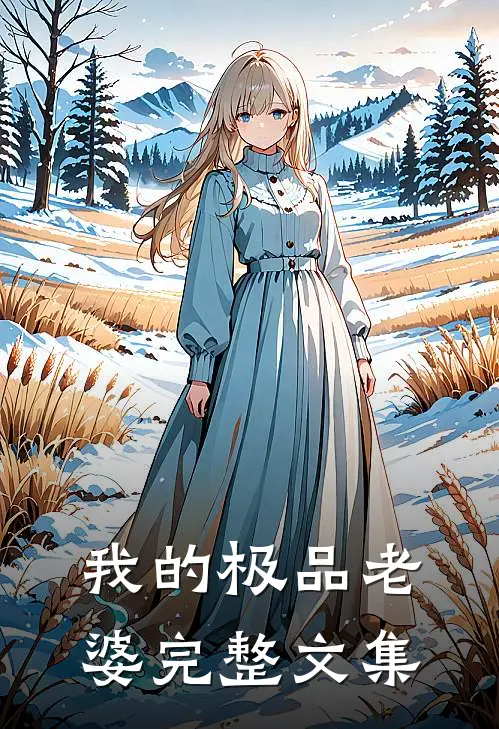 我的极品老婆完整文集