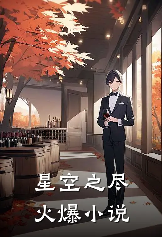 星空之尽火爆小说