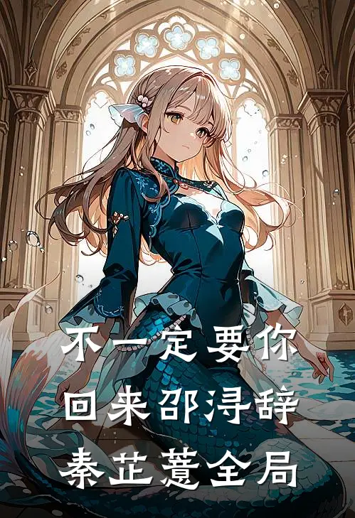 不一定要你回来邵浔辞秦芷薏全局