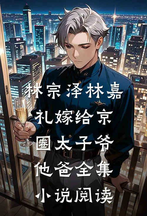 林宗泽林嘉礼嫁给京圈太子爷他爸全集小说阅读