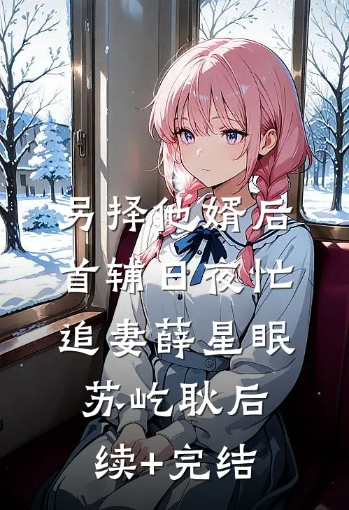 另择他婿后，首辅日夜忙追妻薛星眠苏屹耿后续+完结