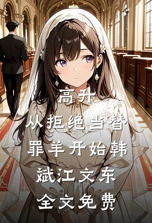 高升：从拒绝当替罪羊开始韩斌江文东全文免费