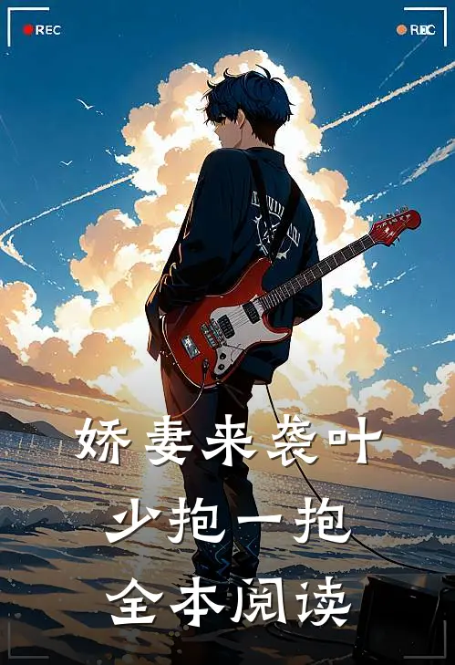娇妻来袭叶少抱一抱全本阅读