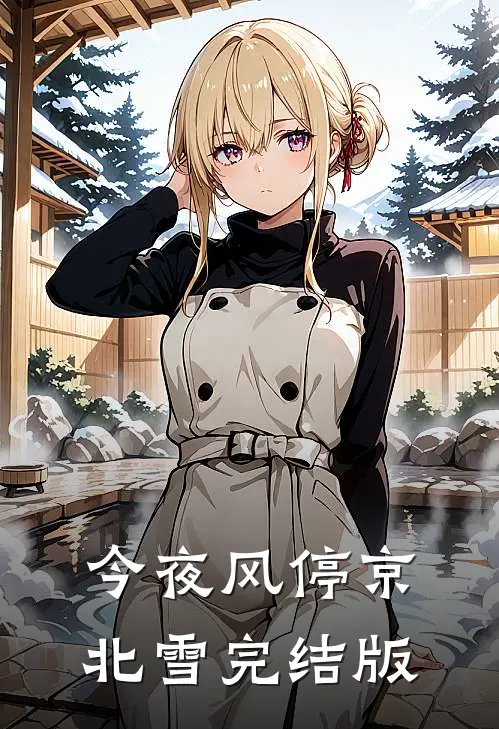 今夜风停京北雪完结版