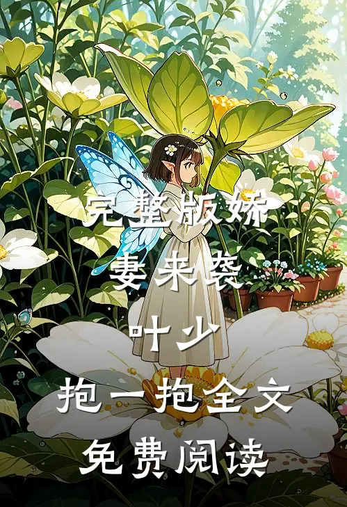 完整版娇妻来袭:叶少,抱一抱全文免费阅读