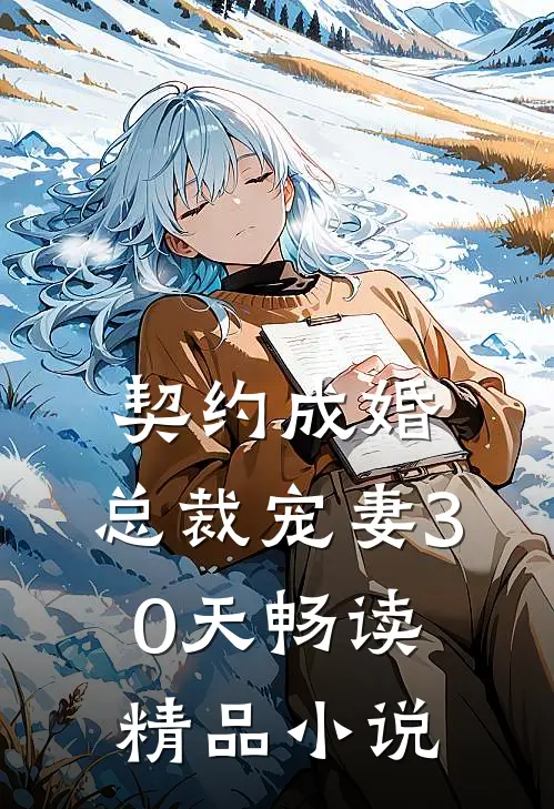契约成婚，总裁宠妻30天畅读精品小说