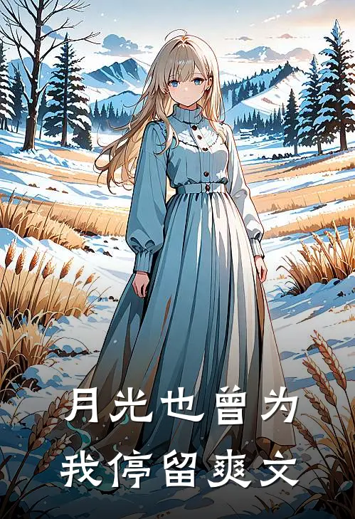 月光也曾为我停留爽文