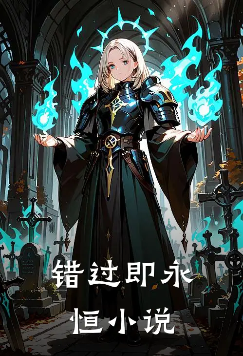 错过即永恒小说