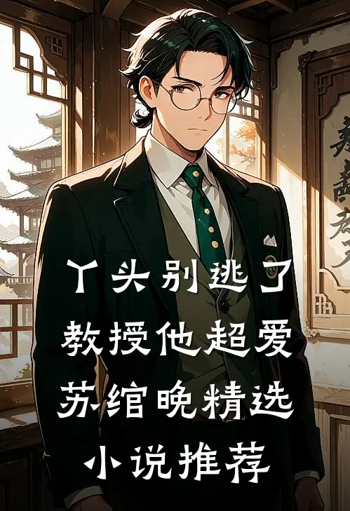 丫头别逃了教授他超爱苏绾晚精选小说推荐