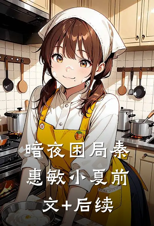 暗夜困局秦惠敏小夏前文+后续