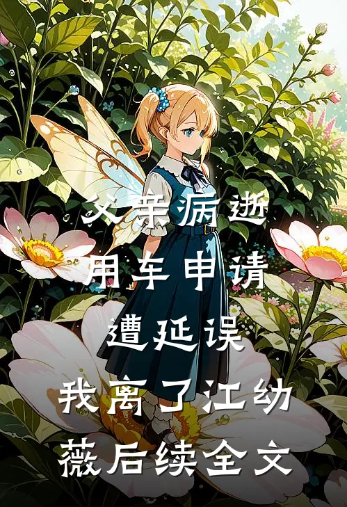 父亲病逝用车申请遭延误，我离了江幼薇后续全文
