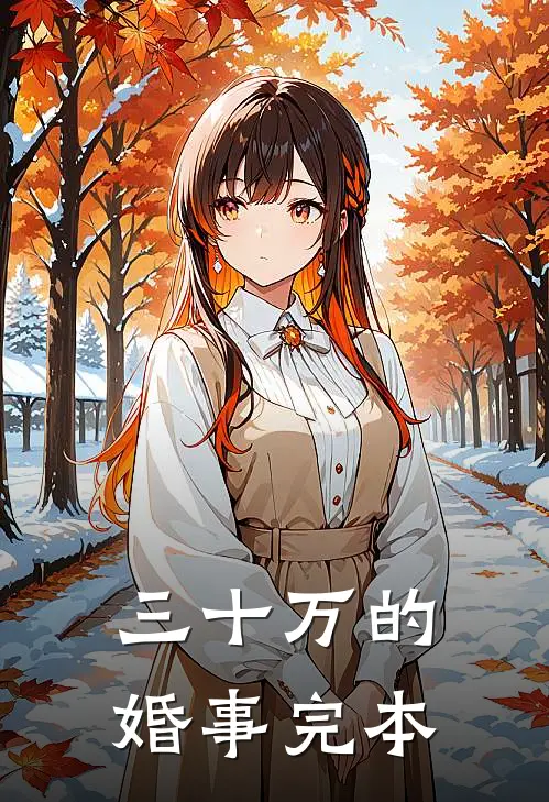 三十万的婚事完本
