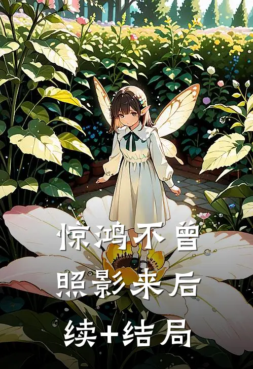 惊鸿不曾照影来后续+结局