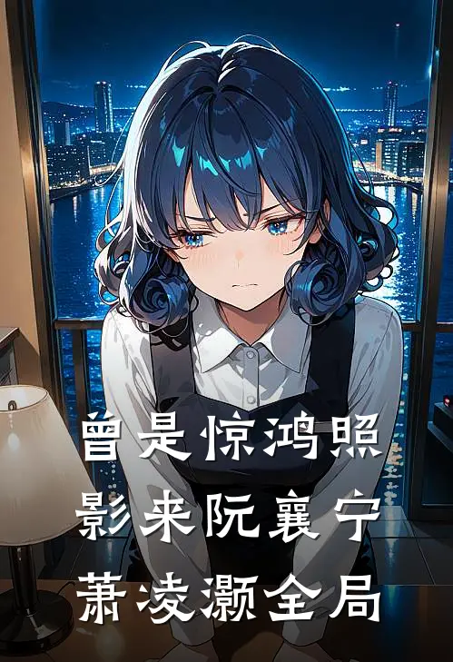 曾是惊鸿照影来阮襄宁萧凌灏全局