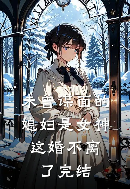 未曾谋面的媳妇是女神，这婚不离了完结