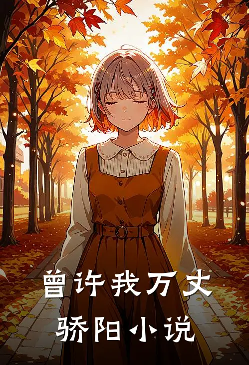 曾许我万丈骄阳小说