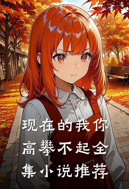 现在的我你高攀不起全集小说推荐