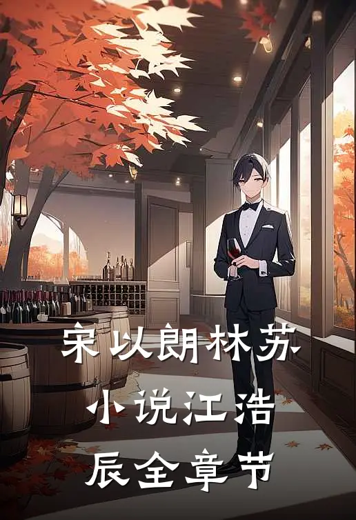 宋以朗林苏小说江浩辰全章节