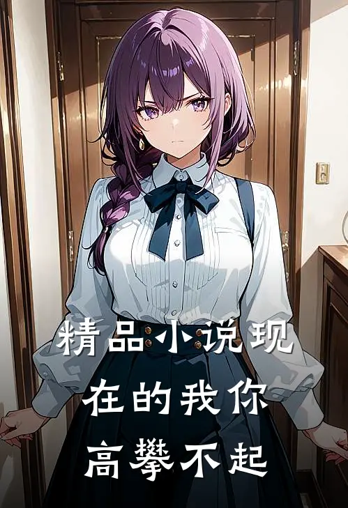 精品小说现在的我你高攀不起