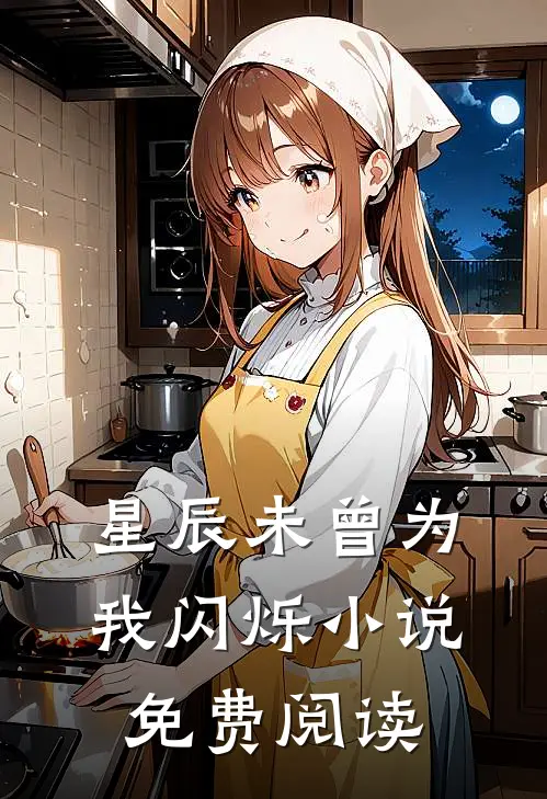 星辰未曾为我闪烁小说免费阅读