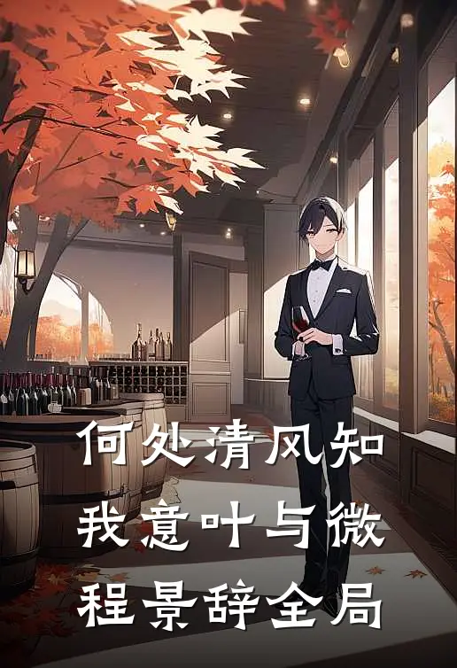 何处清风知我意叶与微程景辞全局