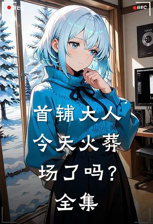 首辅大人今天火葬场了吗？全集