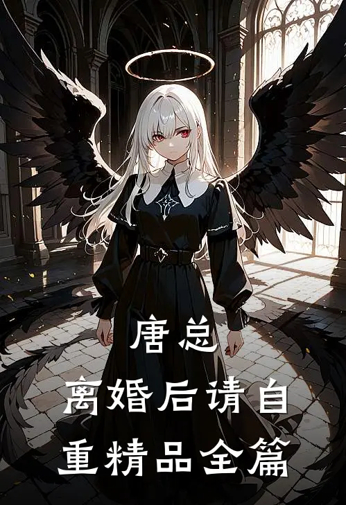 唐总，离婚后请自重精品全篇