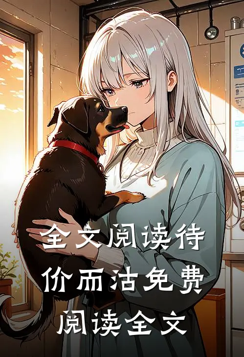全文阅读待价而沽免费阅读全文