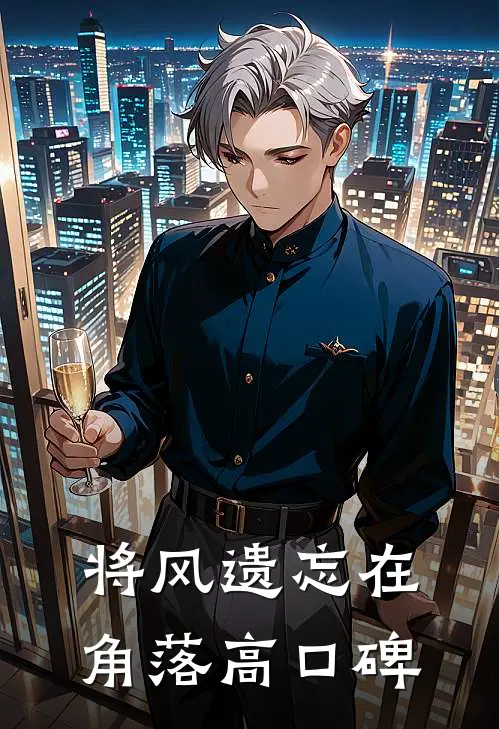 将风遗忘在角落高口碑