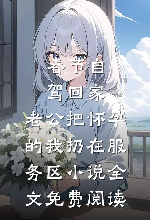 春节自驾回家，老公把怀孕的我扔在服务区小说全文免费阅读
