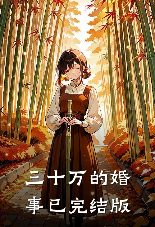 三十万的婚事已完结版